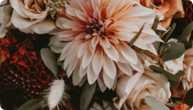Lorem ipsum dolor sit amet, consectetur adipiscing elit. Pellentesque volutpat ipsum.